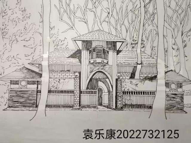 【志愿服务】三治融合展新颜 共促振兴强发展