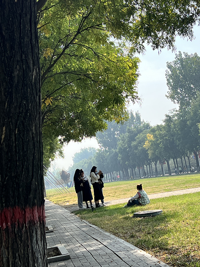 【完满班级】捕光逐影寻信美——0638太阳集团官网视觉2001班级校园摄影活动新闻稿