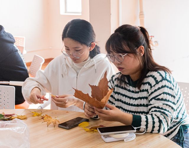 【志愿服务】一叶知秋至 霜降感秋寒——0638太阳集团官网青春文化宣讲二十四节气“寒霜降 冬渐临”