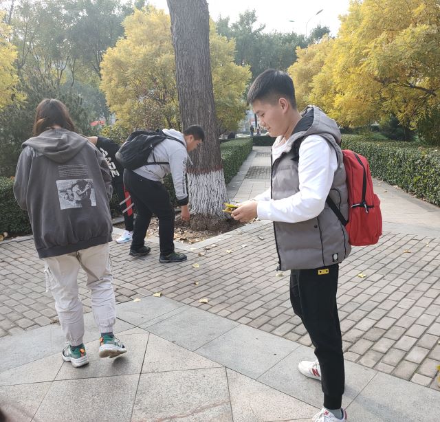 【完满班级】追求绿色时尚,走向绿色文明