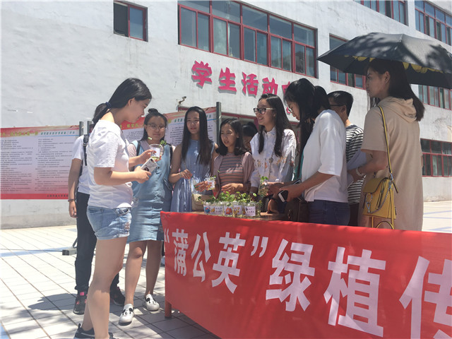 放飞绿植 低碳生活